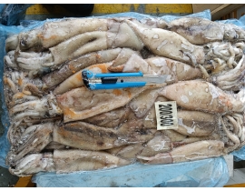 Mực argentina 200-300g