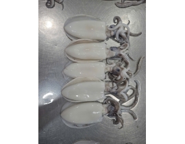 MỰC LÁ 100-300G LÀM SẠCH DÂ