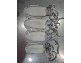 MỰC LÁ LÀM SẠCH 300-600G