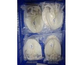 MỰC LÁ LÀM SẠCH DẠNG 1 NẮNG 