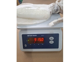 MỰC LÁ LÀM SẠCH NGUYÊN CON ĐÓNG XÔ N9 (ĐÃ BAO GỒM MẠ BĂNG) LÔ NHẬP NGÀY 24/04/2026