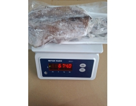 MỰC LÁ VIỆT NAM SIZE 500UP IQF ĐỦ KG LÔ NHẬP 14/04/2026