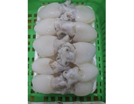 MỰC NANG 20-40 CON NET 7 XẾP KHAY 500G