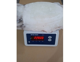 MỰC NANG LÀM SẠCH TRẮNG ĐẸP 2000UP N7 (ĐÃ BAO GỒM MẠ BĂNG) LÔ NHẬP NGÀY 23/04/2026