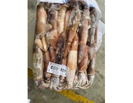 MỰC ỐNG HÀN QUỐC 400-600