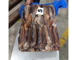 MỰC ỐNG ILEX 200-300G BAO XANH 