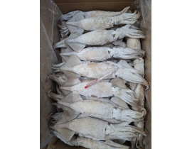MỰC ỐNG ILEX LOẠI GIÒN SIZE 300G UP LỰA TỪ MỰC ỐNG NHẬP KHẨU 