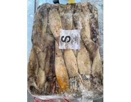 MỰC ỐNG INDO 200-300 LÔ NHẬP NGÀY 27/04/2026