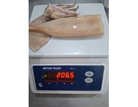 MỰC ỐNG LÀM RUỘT CÒN DA (ĐỎ BỤNG) LÔ NHẬP NGÀY 29/04/2026