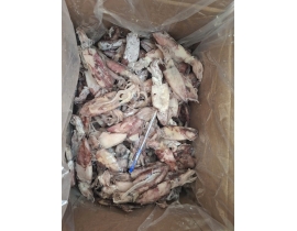 MỰC ỐNG TRÓC DA 8-12CM ĐÓNG XÔ ĐỦ KG