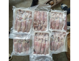 MỰC ỐNG TRỨNG 20-25 CON/KG -  100% CÓ TRỨNG - ĐỦ KG 