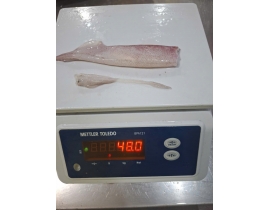 MỰC TRỨNG 12UP LÀM SẠCH TÚI 5KG ĐỦ KG