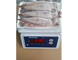 MỰC TRỨNG 15UP B VỈ 500G N8 (ĐÃ BAO GỒM MẠ BĂNG)