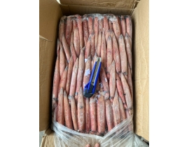 MỰC TRỨNG GHIM 12-15CM YN12A MẶT TRỜI LÔ NHẬP NGÀY 11/05/2026