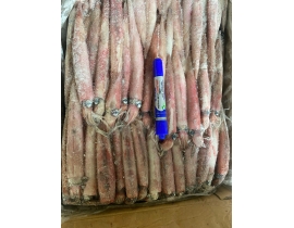 MỰC TRỨNG GHIM 15CM UP YN15A MẶT TRỜI LÔ NHẬP NGÀY 11/05/2026