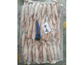 MỰC TRỨNG GHIM 15UP THÙNG 10KG LÔ NHẬP  30/03/2026