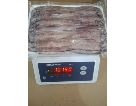 MỰC TRỨNG GHIM 9/12 VỈ 1KG ĐỦ KG LÔ NHẬP 19/04/2026
