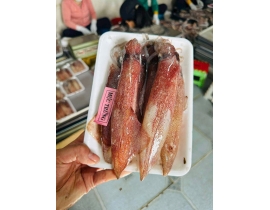 MỰC TRỨNG MINO VỈ 500G ĐỦ KG 