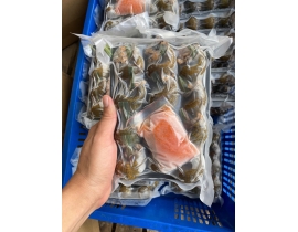 ỐC BƯƠU NHỒI THỊT - KHAY 290 - 330G 12 CON