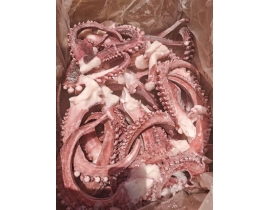 RÂU MỰC ĐẠI DƯƠNG ĐỦ KG - HÀNG XỊN KHÔNG BỞ