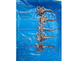 Râu mực xiên que