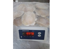 SÒ ĐIỆP NHẬT NỮA MÃNH 10-12CON/KG TÚI 1KG N5 LÔ NHẬP NGÀY 04/05/2026