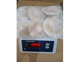 SÒ ĐIỆP NHẬT NỮA MÃNH 7-8CON/KG TÚI 1KG N5 LÔ NHẬP NGÀY 06/05/2026