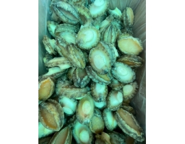 THỊT BÀO NGƯ