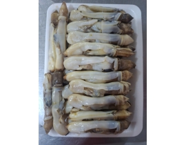 THỊT ỐC MÓNG TAY KHAY 500G ĐỦ KG