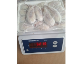 TRỨNG MỰC NANG VỈ 500G ĐỦ KG LÔ NHẬP 21/04/2026